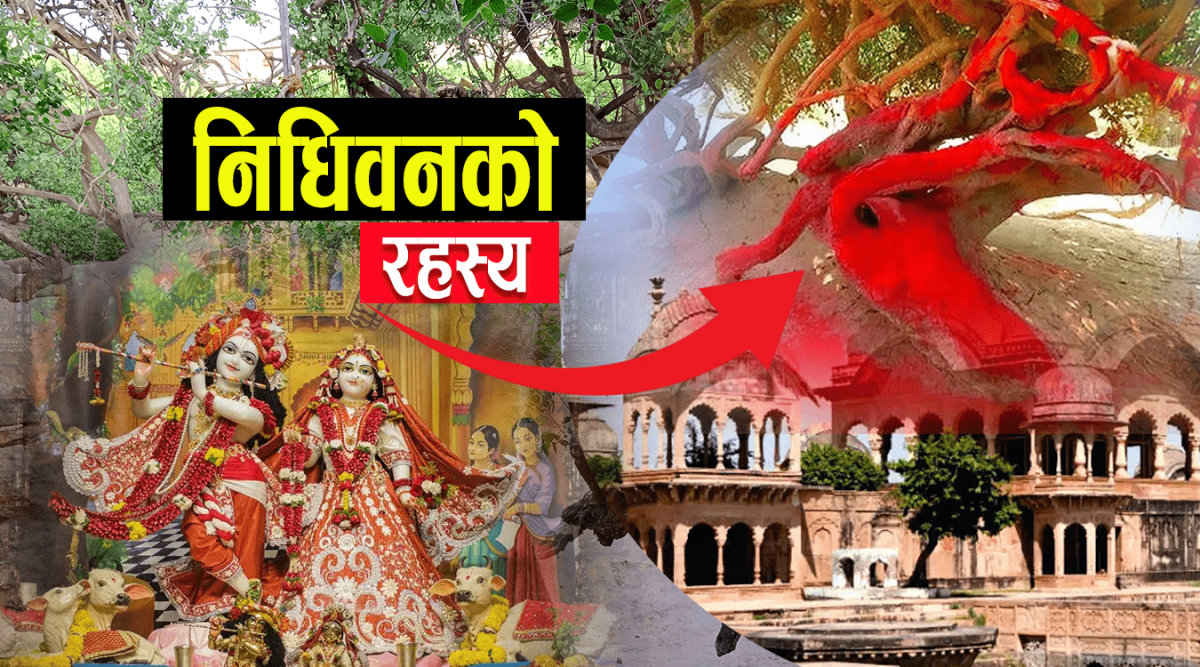 निधिवनको रहस्य : राति के हुन्छ ?